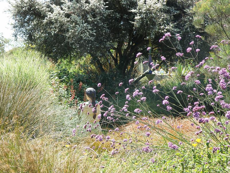 P6282146 Sierra Azul.jpg